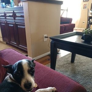 Meet your Posher, Debra